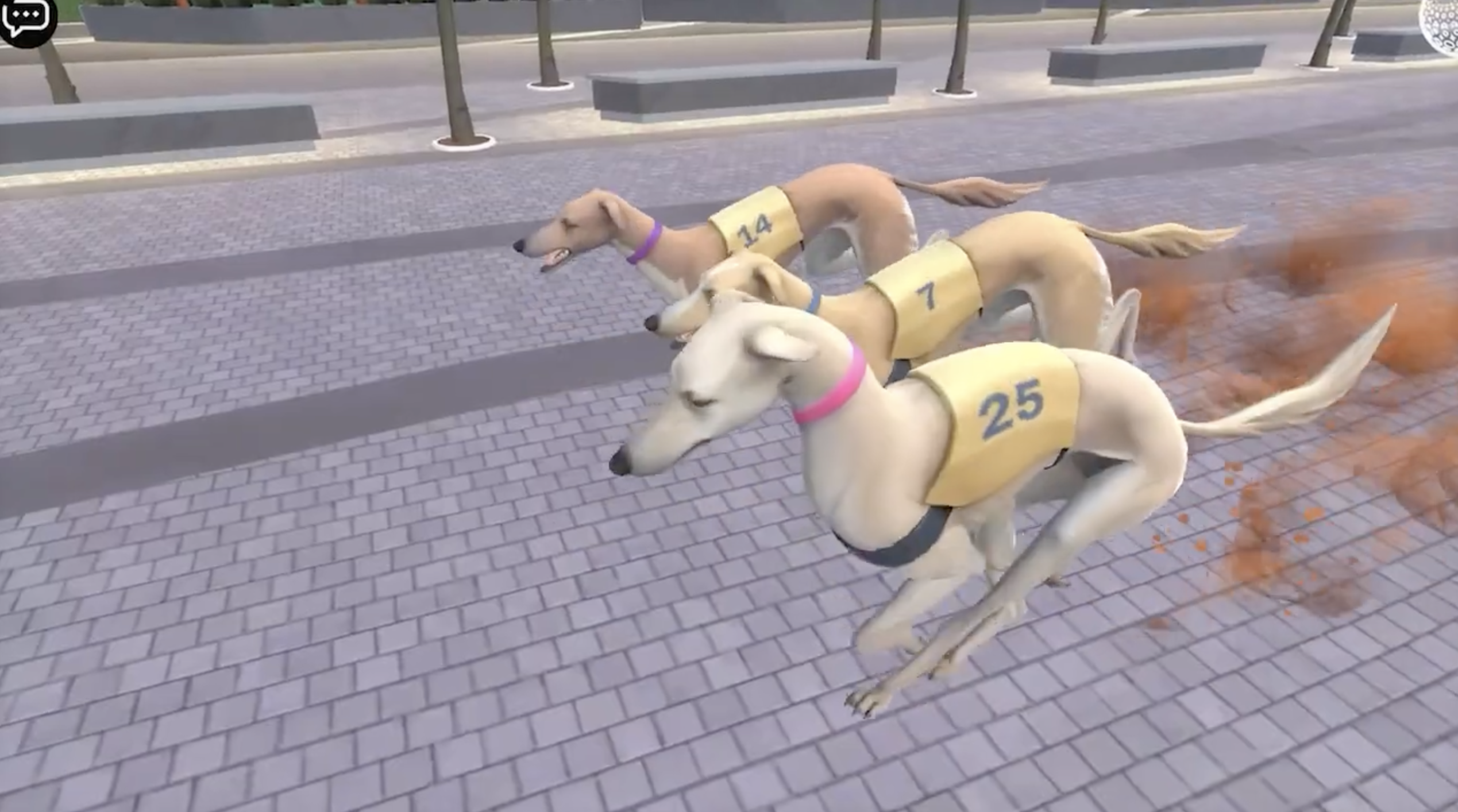 Expo Xplorer: Saluki racing mini-game on the Expo promenade